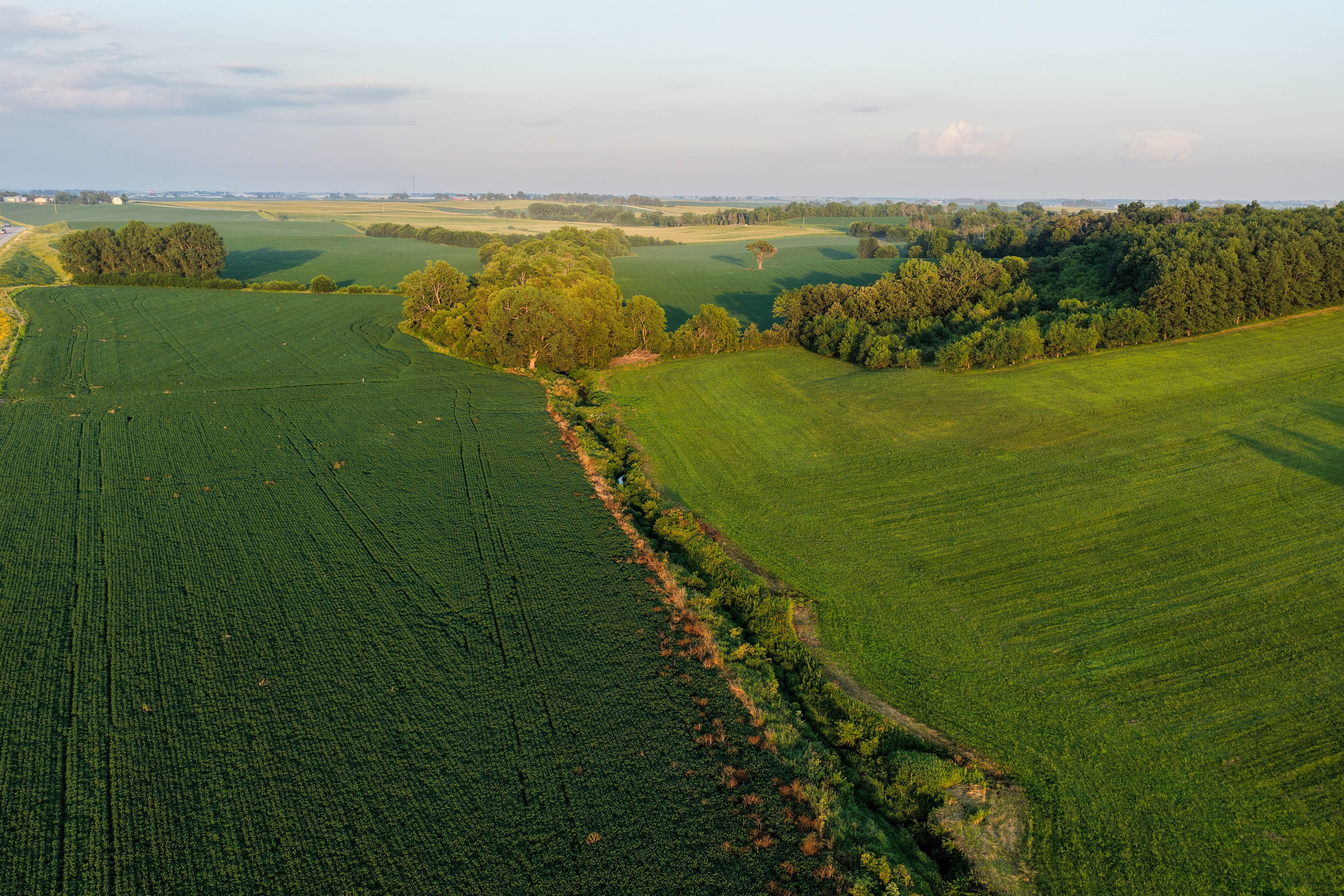 Listing Photo: Johnson County Land For Sale-14